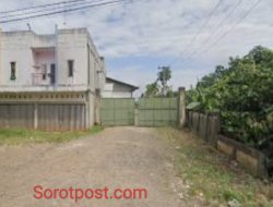 Gudang Rokok Ilegal Berkedok Gudang Pinang Ditemukan di Niaso – Muaro Jambi, Dekat Kantor Bea Cukai!