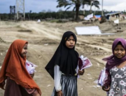 Warga Aceh Timur Bangun Hunian Sementara Secara Mandiri, Kumpulkan Kayu Sisa Rumah yang Rusak