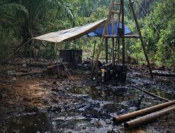 Bukit Subur (Muaro Jambi) Jadi Kubangan Minyak, Illegal Drilling Picu Kerusakan Lingkungan Parah