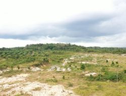 Warga Perlu Tahu, Ini Ciri-ciri Tanah yang Bisa Disita Negara