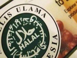 Masih Banyak Disalahpahami, Ini Perbedaan Sertifikasi Halal dan Syariah