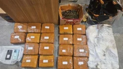 Diciduk di Tanah Abang Usai Ambil Paket Ekspedisi, Pengedar Bawa 3,6 Kg Ganja