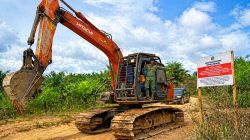 Gakkum Kehutanan Tetapkan Tersangka Perambah Hutan, 30 Hektare Sawit Ilegal di Seblat