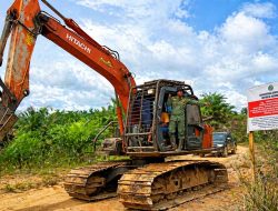 Gakkum Kehutanan Tetapkan Tersangka Perambah Hutan, 30 Hektare Sawit Ilegal di Seblat