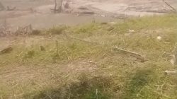 PETI Punti Alo (Sumay) “Kebal Hukum”? 8 Pekerja Diciduk, Tambang Tetap Jalan!