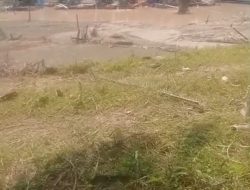 PETI Punti Alo (Sumay) “Kebal Hukum”? 8 Pekerja Diciduk, Tambang Tetap Jalan!