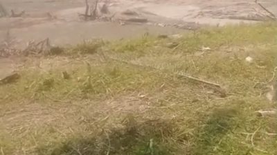 PETI Punti Alo (Sumay) “Kebal Hukum”? 8 Pekerja Diciduk, Tambang Tetap Jalan!