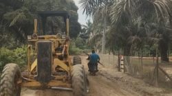 Dugaan Korupsi PTPN IV Jambi Menguat, Pimpinan Bungkam hingga Blokir Media : Desak Kejagung Turun Periksa