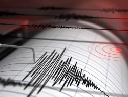 Gempa M 7,3 Guncang Bitung, Sempat Picu Tsunami Kecil, Warga Panik Berhamburan