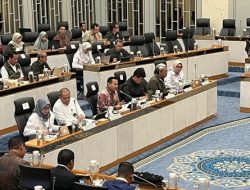 Pemerintah Larang Wisata Gajah Tunggang, Inpres Segera Terbit