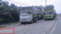 Membandel! Truk Batu Bara Di Jambi Masih Beroperasi Meski Dilarang Melintas