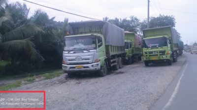 Membandel! Truk Batu Bara Di Jambi Masih Beroperasi Meski Dilarang Melintas