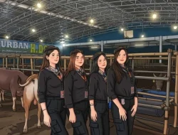 Wangi Parfum Beradu Aroma Kandang, Kisah Nayla Eks SPG Mobil Mewah yang Kini Jadi “Pramugari Sapi”