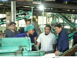 Komisaris PTPN IV Minta Produksi dan Pemasaran Teh Kayu Aro Ditingkatkan