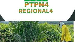 Dugaan Korupsi Terstruktur di PTPN IV Regional IV: Anggaran Vendor, Tenaga Kerja Internal (Bag 1)