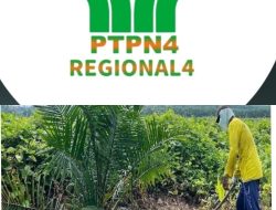Dugaan Korupsi Terstruktur di PTPN IV Regional IV: Anggaran Vendor, Tenaga Kerja Internal (Bag 1)