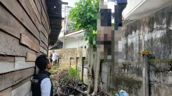Geger! Pengamen Ditemukan Tewas di Atas Pohon di Kawasan Payo Lebar Jambi