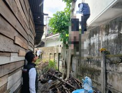 Geger! Pengamen Ditemukan Tewas di Atas Pohon di Kawasan Payo Lebar Jambi