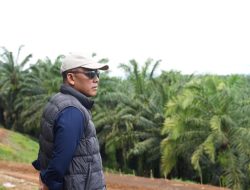 Utamakan Keselamatan Pekerja, PTPN IV PalmCo Perkuat Budaya K3 di Seluruh Unit Operasional