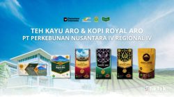 Teh Kayu Aro, Warisan Teh Legendaris Jambi yang Mendunia