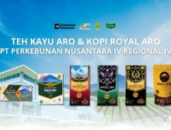 Teh Kayu Aro, Warisan Teh Legendaris Jambi yang Mendunia