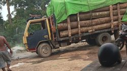 Truk Muatan Kayu Log Diduga Ilegal Bebas Melintas Tempino–Seberang Kota, Aparat Diminta Jangan Tutup Mata