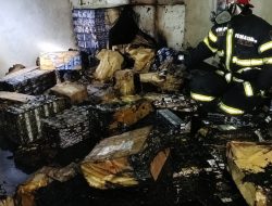 Ratusan Slop Rokok Diduga Ilegal Ditemukan di Rumah Terbakar, Polresta Jambi Mulai Awasi Kasus