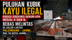 Terbongkar! Puluhan Kubik Kayu Ilegal Diduga Dibekingi Oknum APH Inisial H dan N, Bebas Melintas Di Jalur Lintas Palembang – Jambi, Pal 10 Kota Jambi