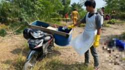 Diduga Dipicu Sengketa Lahan, Pria 58 Tahun Tewas di Kebun Mendahara Ulu