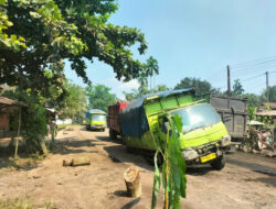 Ratusan Warga Blokade Truk Batu Bara di Mestong, Desak Perbaikan Permanen Jalan KM 36–40