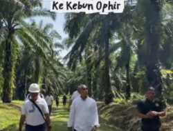 Region Head PTPN IV Regional IV Tinjau Kebun Ophir, Pastikan Operasional dan Mutu Produksi Sesuai Standar