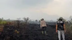 20 Hektare Lahan Gambut di Kumpeh Muaro Jambi Terbakar, Petugas Sempat Kesulitan Padamkan Api