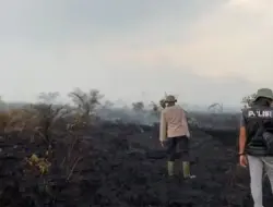 20 Hektare Lahan Gambut di Kumpeh Muaro Jambi Terbakar, Petugas Sempat Kesulitan Padamkan Api
