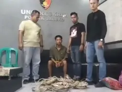 Pencuri Kabel Listrik di Perumahan Citra Raya City Muaro Jambi Ditangkap Polisi