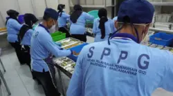Diduga Terlibat Judol hingga Salahgunakan Anggaran, Sudaryono Pecat 261 Pegawai BGN