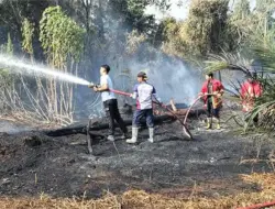 Menteri LH Sebut Kabut Asap di Riau Diduga Kiriman dari Jambi, Ini Penjelasannya