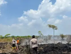 Lahan Gambut di Sungai Gelam Muaro Jambi Terbakar, Petugas Terkendala Angin dan Pasokan Air