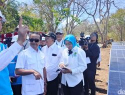 Prabowo Resmi Luncurkan PLTS 100 GW, 14 Proyek Jadi Tahap Awal