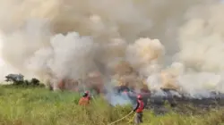 285 Titik Panas Terdeteksi di Muaro Jambi, Ancaman Karhutla Makin Mengkhawatirkan