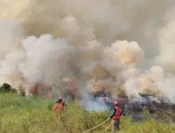 285 Titik Panas Terdeteksi di Muaro Jambi, Ancaman Karhutla Makin Mengkhawatirkan