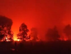 Kebakaran Melanda Taman Nasional Way Kambas, Tim Gabungan Berjibaku Padamkan Api
